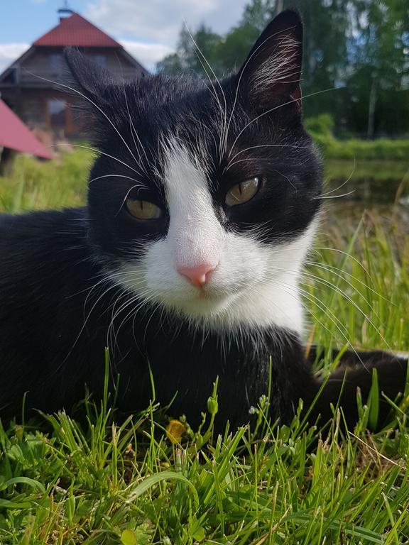 Bellas Namins Cēsis Esterno foto