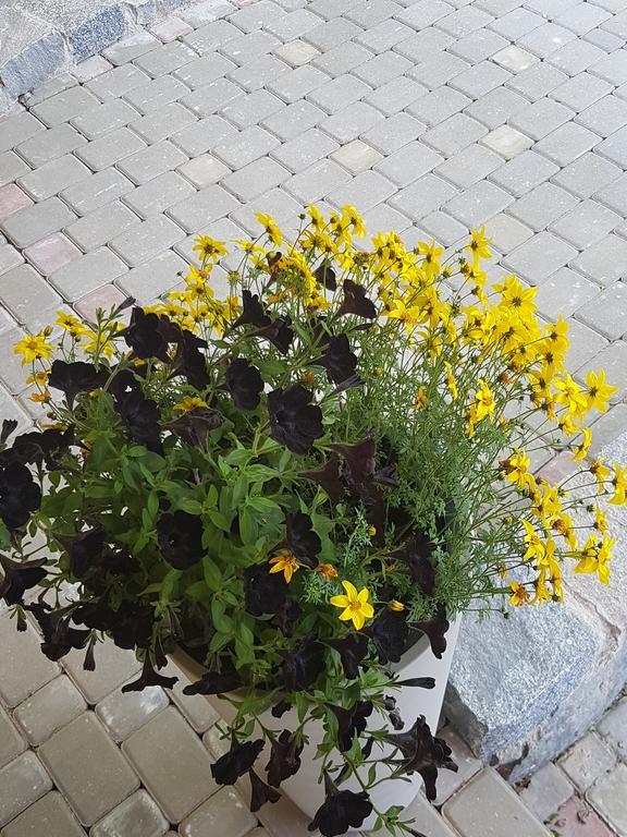 Bellas Namins Cēsis Esterno foto