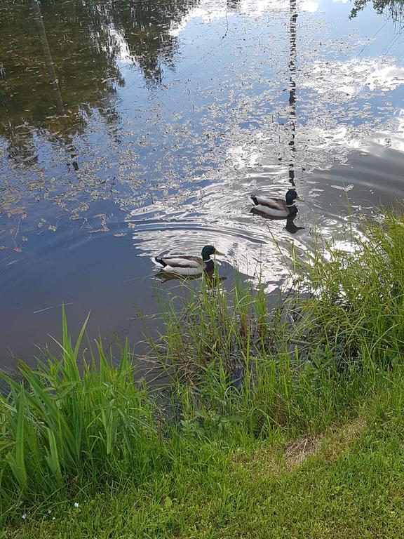Bellas Namins Cēsis Esterno foto